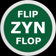 FlipZynFlop