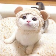 我是你黑夜中的光