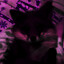 Lurvixen