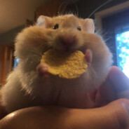 Gluttonous Beast avatar