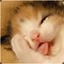ASDFGHJKL
