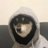 爱吃猕猴桃的西瓜