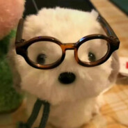 都在哥的把控里