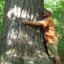 Tree Lover Troy