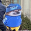 Deutschland Doge