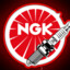 NGK Spark Plugs