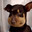the_monkey