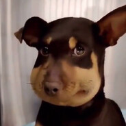 the_monkey