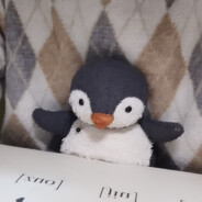 这儿是帅气的小白先生