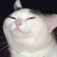 trangiamadx avatar