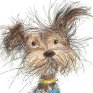 阿伟伟伟伟伟伟伟伟伟