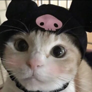 meowmeow