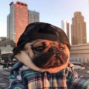 兄弟萌加油加油