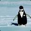 LePingu