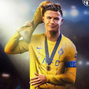 非著名门帘赵向前