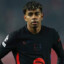 LY19 glazer