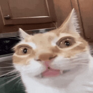 Froh
