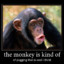 monkey poggers