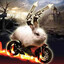 bunnylover34
