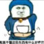 盗号狗先死个妈！！！