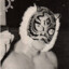 DUST TIGER