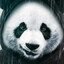 Sexy_Panda