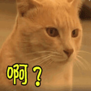 +  人质图卧底 !