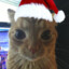 paco el maj0 navideño