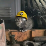 Close(AI) - steam id 76561199592383972