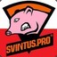 svintus.pro