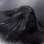 Black Raven68
