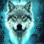 Jack | Alpha Wolf