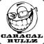 Caracal™