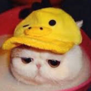 B0T N0N4M3's Steam avatar