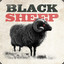 BlackSheep