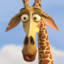 MelmAn23