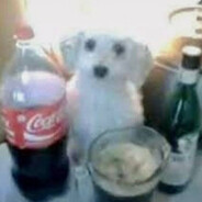 makafitt avatar
