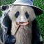 Pandalf