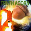 TRVTH ACORN