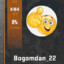 Bogomdan_22