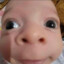 FB TREM BALA