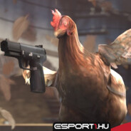 Big Chicken♿