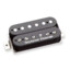 Humbucker