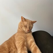 ßİq!\!éS - steam id 76561199502479426