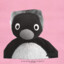 pingu the creator