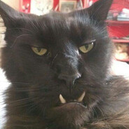 Паша Бабаха