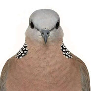 芙卡洛斯牌断头台