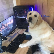SQUIRT_DOG_i_LIKE_DOOG avatar