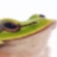 SlimeBoi