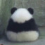 阿泉